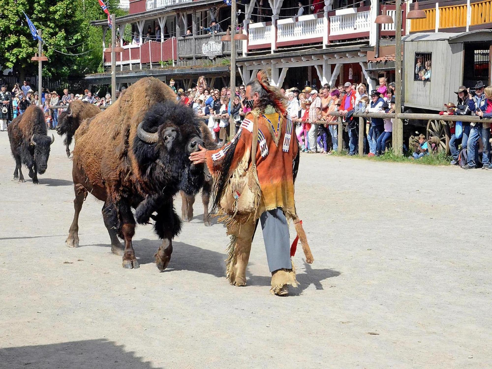 Harz Holiday Park, Hasselfelde Zewnętrze zdjęcie